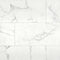 Calacatta Michelangelo 18" X 36" Honed